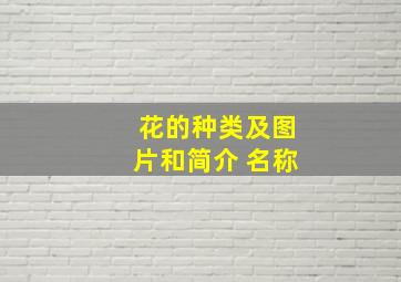 花的种类及图片和简介 名称